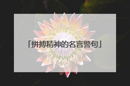 「拼搏精神的名言警句」拼搏精神的名言警句中国古文